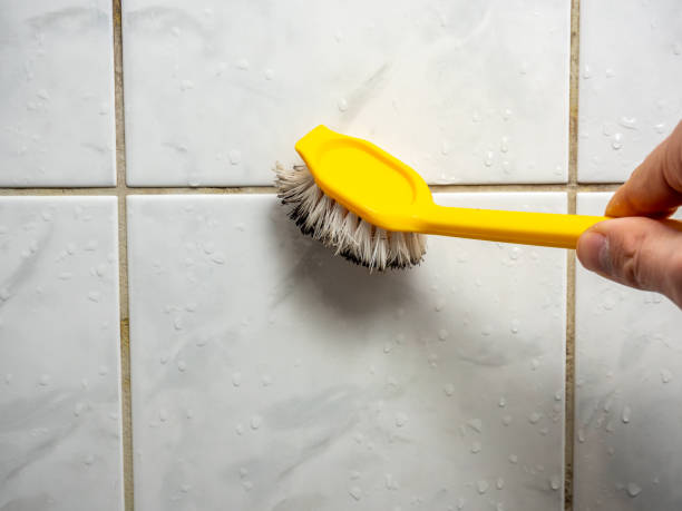 Best Localized Mold Remediation (e.g., coastal areas, humid climates) in North Baltimore, OH
