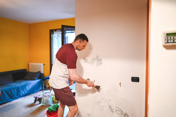 Best Industrial Mold Remediation in North Baltimore, OH